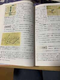 日本史の教科書の文字の色分けについて 年号 水色の蛍光ペン人物名 Yahoo 知恵袋