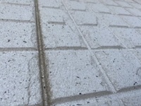 外壁の汚れを落としたいのですが、高圧洗浄機では全く落ちず