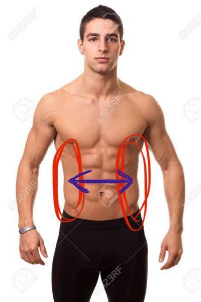 体の横幅を広くしたいです 背中を大きくする方法は分かりま Yahoo 知恵袋