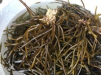 食用犬の赤犬とは 何の種類の犬ですか 食用犬には赤犬が美味いと知 Yahoo 知恵袋