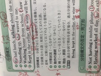 Comparedtodogs Catshavelot Soffreedo Yahoo 知恵袋