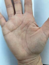 手相鑑定お得意な方いらっしゃったら鑑定お願いしたいです 金運 仕事 Yahoo 知恵袋