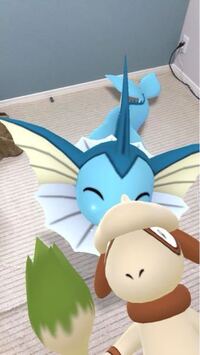 ポケモンgoについて質問です 相棒と遊ぶをしていて シャワーズの写 Yahoo 知恵袋