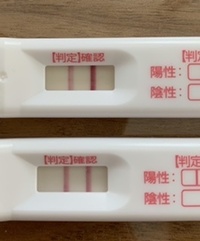 妊娠希望です 上は高温期14日目下が高温期16日目です 判定線 Yahoo 知恵袋