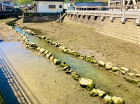 満潮と干潮が人の生死に関係しているとは本当でしょうか 本当 自然死の場 Yahoo 知恵袋