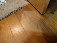 アルカリ電解水が染み込んだ雑巾を床に放置してしまったら床の色が変わってし Yahoo 知恵袋