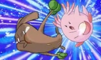 アニメポケモンのゴンベが登場してる話は何話ですか ゴンべが登場した Yahoo 知恵袋