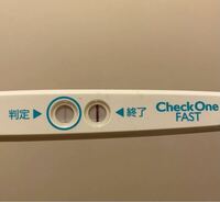 6日前 フライング検査 妊娠検査薬のフライング検査はいつから反応する？【体験談あり】