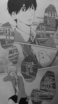 宇宙を駆けるよだかという少女漫画がありますが よだかとはどういう意味でしょ Yahoo 知恵袋