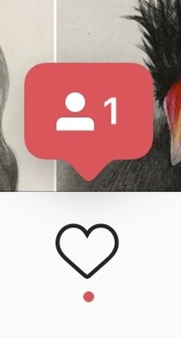 インスタのアクティビティのページ 画面下のハートマーク 自分の投稿にいいね Yahoo 知恵袋