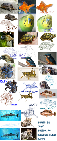 今流行りの顔がキラキラになっている犬の加工写真はsnowですか Yahoo 知恵袋