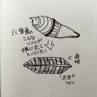 高校野球の県大会に差し入れをしようと思っているのですが のし紙に Yahoo 知恵袋