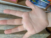 手相を見ていただきたいです 勉強運 金運 健康運 恋愛運 総合運をお願い Yahoo 知恵袋