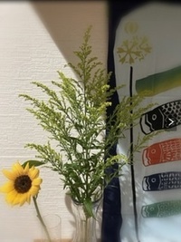 この葉っぱ アプリで調べたら セイタカアワダチソウ と出ましたが合ってい Yahoo 知恵袋