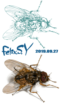 おはようごじゃいマシュマロ ムシュイカテのミナしゃん Yahoo 知恵袋