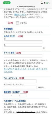 ディズニーチェット抽選について 教えてください ディズニーシーの抽選 Yahoo 知恵袋