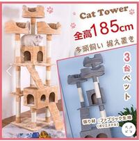 キャットゲージかキャットタワーどちらがいいのでしょうか 今度猫と一人 Yahoo 知恵袋