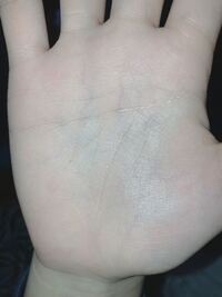 手相についてです 自分の右手にはますかけ線があるのですがまえに調べ Yahoo 知恵袋