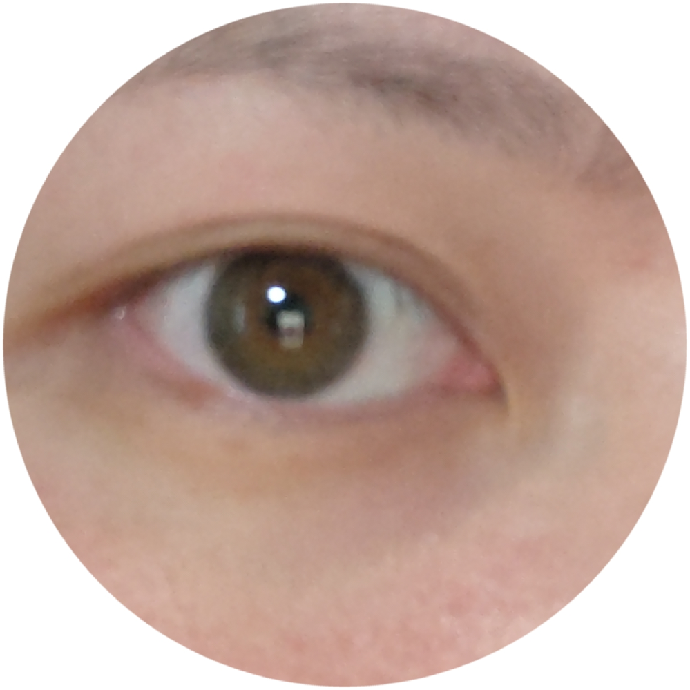 瞳の色についてです 自分の目はまるで向日葵のようで 周りの縁は緑っ Yahoo 知恵袋