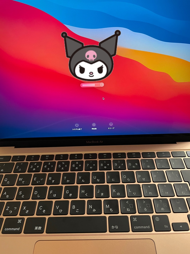 突然、MacBookが開かなくなりました。この画面で、パスワードを入れて