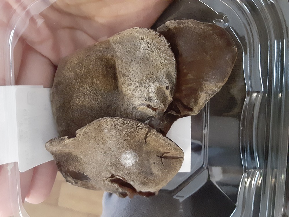 これは生きくらげのカビでしょうか 買ってから常温で3日経ってます あけた Yahoo 知恵袋