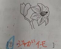 中学受験理解の質問です 画像の花の植物の名前を答えなさいという問題 Yahoo 知恵袋