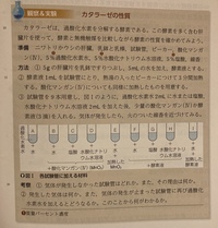 恋サーキュレーションの英語の歌詞をカタカナにして教えてください Yahoo 知恵袋