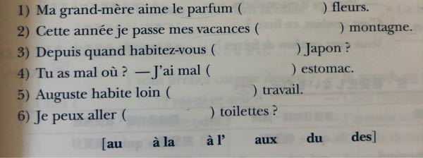 フランス語 投票受付中の質問 Yahoo 知恵袋