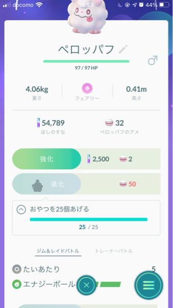 ポケモンorasを買おうと思うのですがオススメの旅パを教えて Yahoo 知恵袋