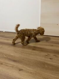 生後４ヶ月半 横向き寝 乳幼児突然死症候群の危険について生後４ヶ Yahoo 知恵袋