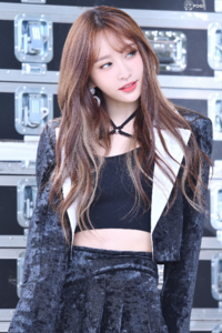 Exidはハニのファンカム無くても そのうちいずれ見つかってた Yahoo 知恵袋