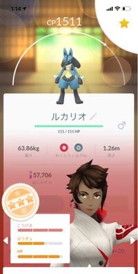 ポケモンについて質問です ルカリオにつるぎのまい はどうだん インフ Yahoo 知恵袋