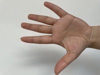 手相をみれる方お願いします いつ頃 妊娠できるのか等を占ってい Yahoo 知恵袋