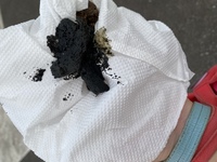 今日犬のうんちがびっくりするほど黒く まるでコールタールのよう Yahoo 知恵袋
