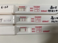 5 27本日高温期14日目 Hcg注射して12日目です 朝一検 Yahoo 知恵袋