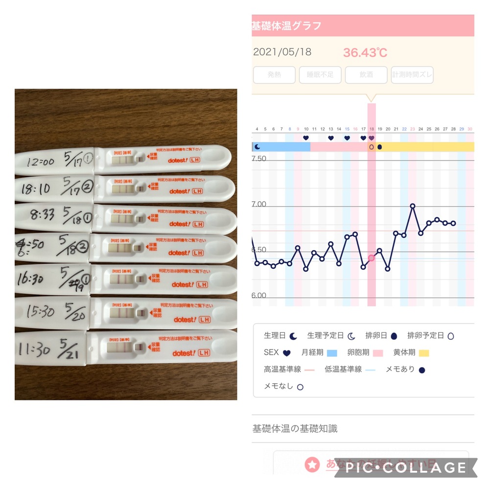 これって妊娠の可能性はありますか 生理周期は29日前回の生理が5月4日か Yahoo 知恵袋