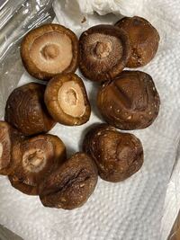 自宅で干し椎茸を作っといたところ 白いふわふわしたカビのよう Yahoo 知恵袋