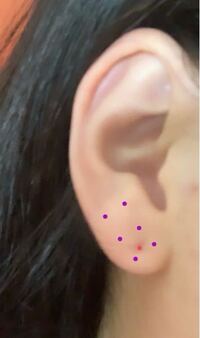 元々ピンクのの所にピアスの穴が空いてて紫の所に新しく穴を開けた Yahoo 知恵袋