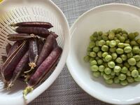 紫えんどう ツタンカーメン と言うお豆をいただきました 豆ご飯を Yahoo 知恵袋