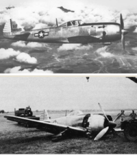 航空機の殿堂スミソニアンはおろか航空博物館にさえ１機も残れなかった､ 四式戦｢疾風｣を日本最高の戦闘機と思いたい理由は､何故なのだろう？