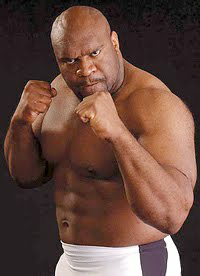 オオカミ3匹ｖｓライオン熊ｖｓ虎土佐犬ｖｓオオカミ1匹どちらが勝 Yahoo 知恵袋