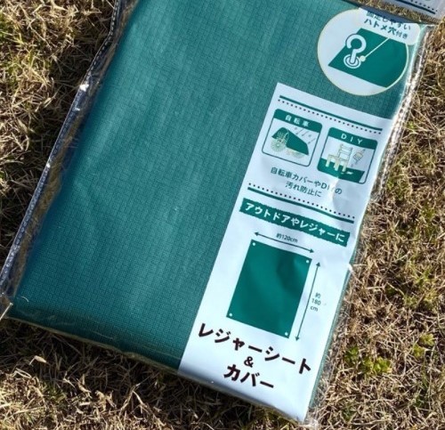 緑のよくあるレジャーシートは 画像は100均のレジャーシート Yahoo 知恵袋