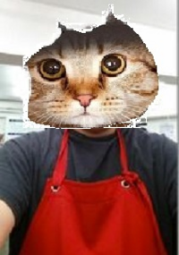 お化け屋敷大喜利 キュウリパックをした猫が 化け猫になった み Yahoo 知恵袋