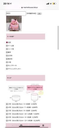 ポケットモンスタープラチナで学習装置を持たせたポケモンのもらえる努 Yahoo 知恵袋