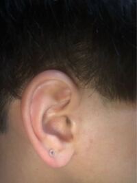 男がマグネットピアスを付けていたらださいですか 仕事柄ピアスを開けら Yahoo 知恵袋