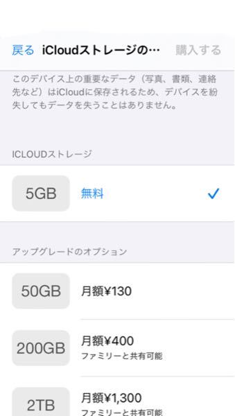 iPhoneのiCloudストレージプラン ［アップグレードのオプション］ □5GB 無料 □...