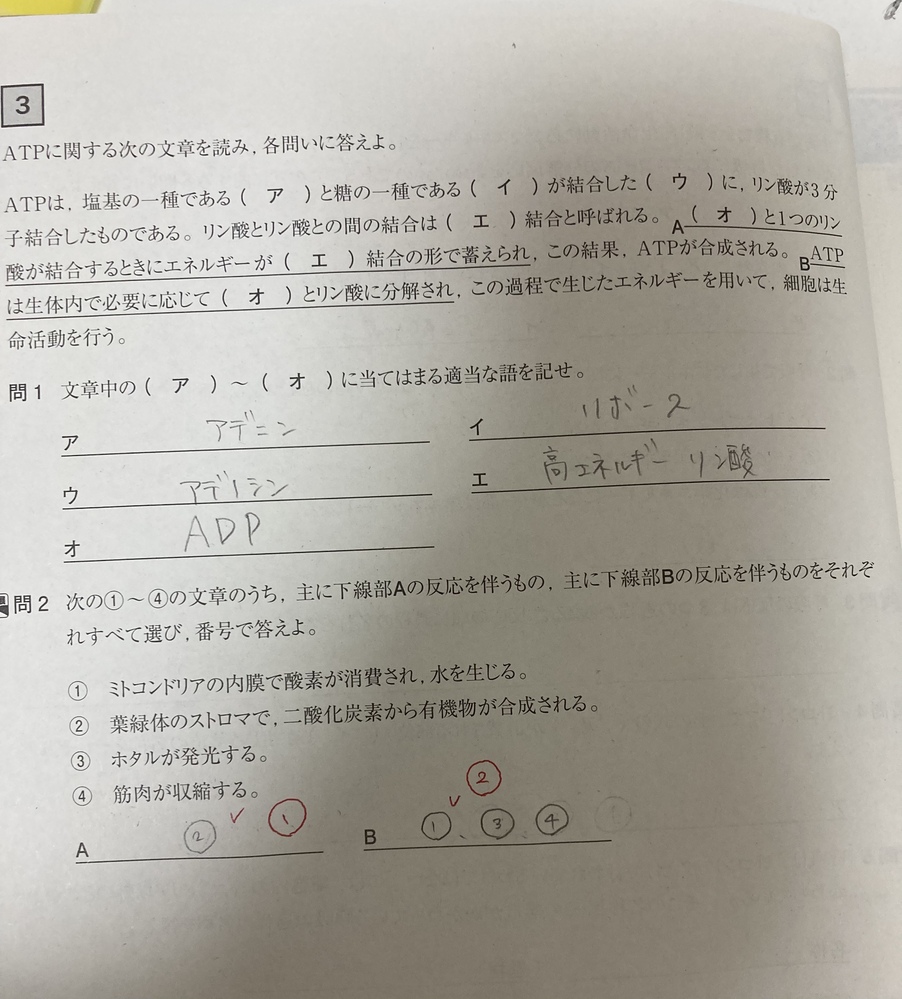 生物の問題が分からないので 教えてください 電子伝達系で最終 Yahoo 知恵袋