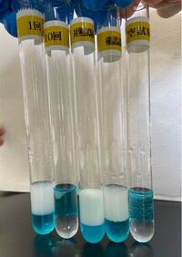 画像あり合成洗剤の残留検査について大学で合成洗剤の残留検査についての実験 Yahoo 知恵袋