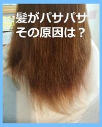 髪の毛についてです 髪の毛がパサパサなんですけどオススメのヘアオイル Yahoo 知恵袋