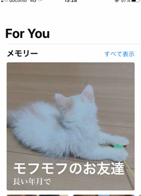 インポート 熱意 リングバック Eggman ロッカー Chainsaw Jp